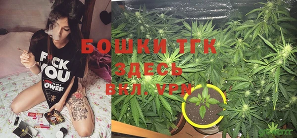 ГАЛЛЮЦИНОГЕННЫЕ ГРИБЫ Алзамай