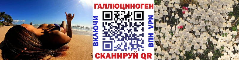 наркотики  Владивосток  Галлюциногенные грибы прущие грибы 